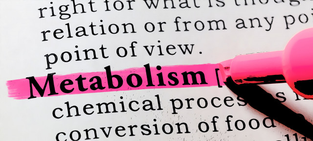 tekst metabolisme met roze marker